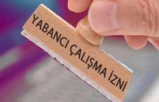 Yabacıların yeni çalışma ön izni almaları 22 Mart'a kadar durduruldu