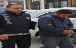 Nijeryalıları Güney'e kaçak geçirirken yakalandı