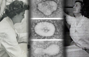 Corona ilk kez 1964'te keşfedildi!