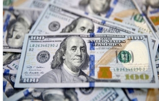 Dolar, TL karşısında son 20 ayın en yüksek seviyesinde