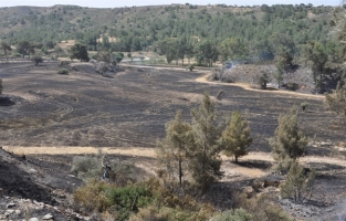 Oğuz: Dünkü yangın 1995 sonrası en büyük yangın