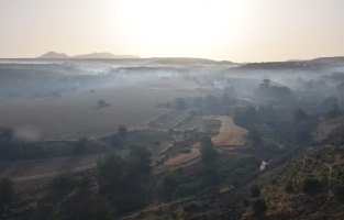 Tepebaşı-Kalkanlı yangınında 7 bin 500 dönüm yandı