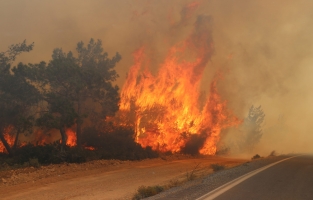Alaköy'de 400 Dönüm Arazi Yandı