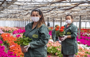 Özersay'ın önerisi hayat buldu: Çiçekçiler evlere servis yapabilecek