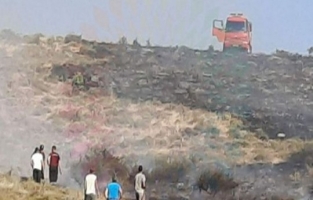 Cengizköy'de 200 dönüm kül oldu