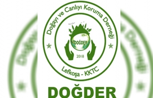 'Doğayı, bitkileri ve milyonlarca canlıyı yok ettik'