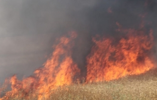 Bir yangında Kalecik Valya mevkiinde! Herkes seferber oldu