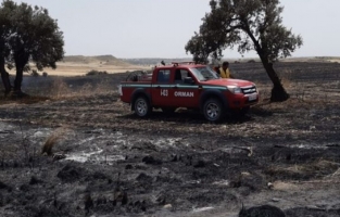 Altınova Köyü'nde yangın çıktı… 500 dönümlük arazideki arpa, zeytin ve harnup ağaçları yandı