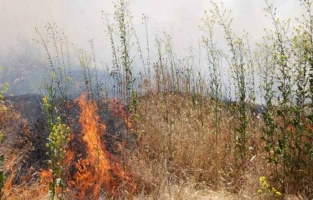 İzinsiz ateş yakan şahsa yasal işlem