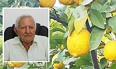 “Bahçeleri kaybetmekle karşı karşıyayız”