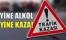 Alkollü sürücü kazaya neden oldu
