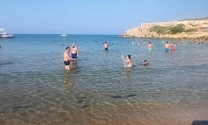 Denizkızı cıvıl cıvıl