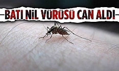 Batı Nil Virüsü, KKTC'de can aldı