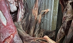 Kasapta 400 kilo bozuk et!