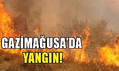 Otları temizlerken yangına neden oldu