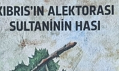 Gelecek nesillere arşiv niteliğinde bir kitap