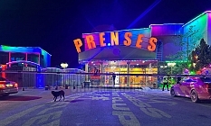 Tetikçi Türkiye’den geldi, silah bulundu