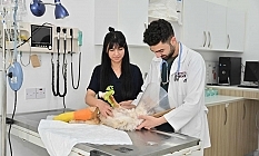 Geleceğin Veteriner Hekimleri Sahada Yetişiyor