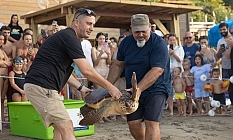 Meritta ile 170 deniz kaplumbağası mavi sulara uğurlandı