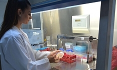 YDÜ'den tarihi keşif: Alasiavirus!