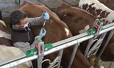 Aşılama için 30 ekip sahada