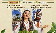 Lefke'de Ceviz Festivali var