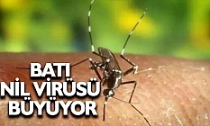 Güney'de Batı Nil virüsünden ilk ölüm