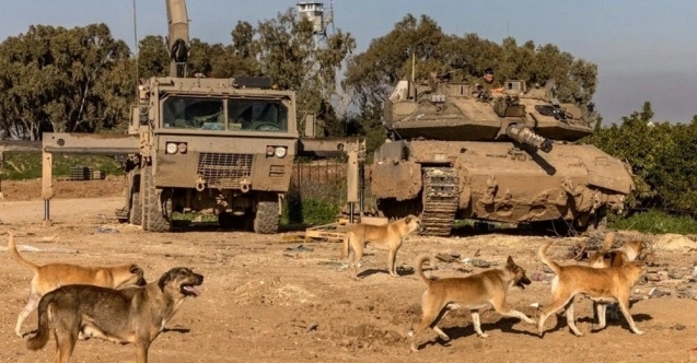 Filistinlilerin cesetlerini köpeklere yediriyorlar!