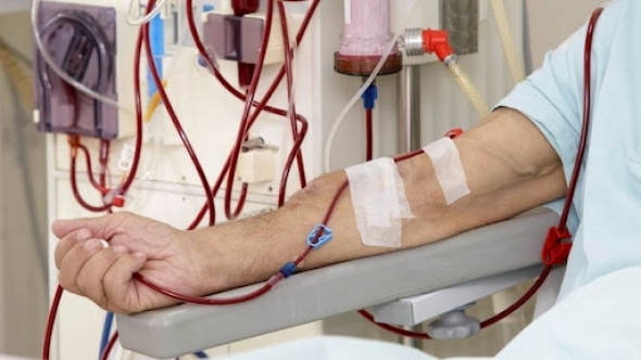 Her yedi kişiden biri böbrek hastası