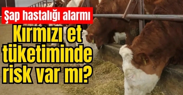Veteriner hekimlerden şap hastalığı için açıklama