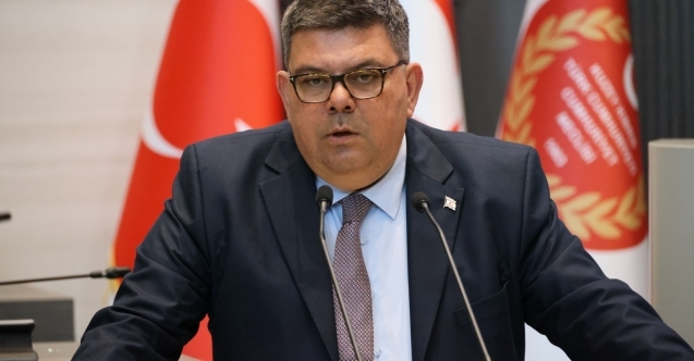 "Bu bütçe yeniden ayağa kalkışın bütçesidir"