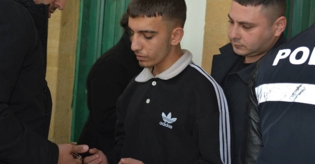 Annesine küfür etti diye bıçakladı