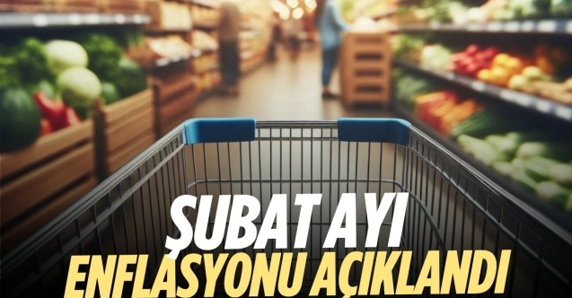 Şubat ayı enflasyonu yüzde 2.76 çıktı